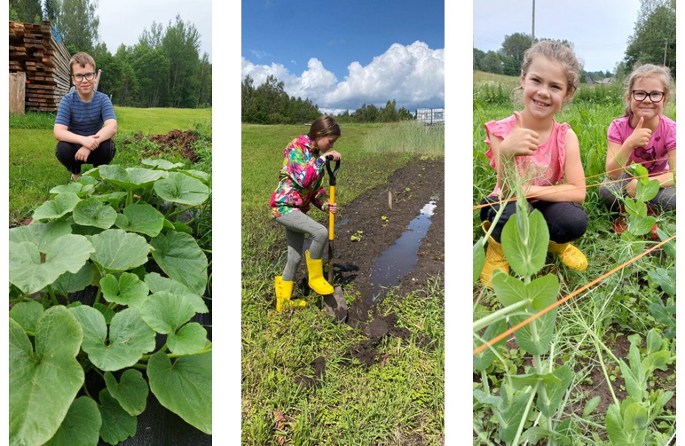 Aluksniesiem.lv raksta attēla aizvietotājs