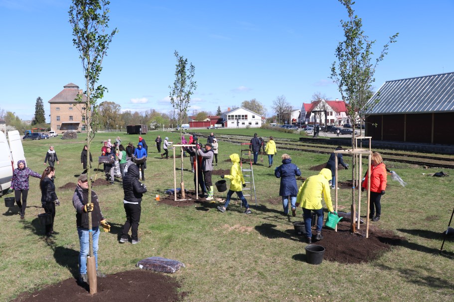 Aluksniesiem.lv raksta attēla aizvietotājs