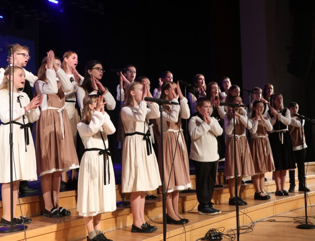 Aluksniesiem.lv raksta attēla aizvietotājs