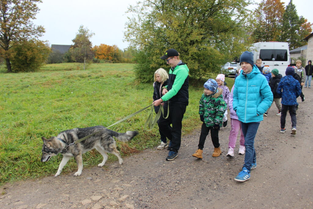 Aluksniesiem.lv raksta attēla aizvietotājs